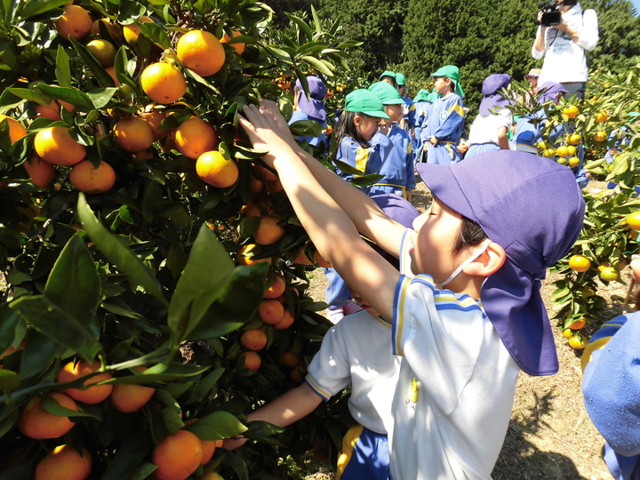 育英幼稚園