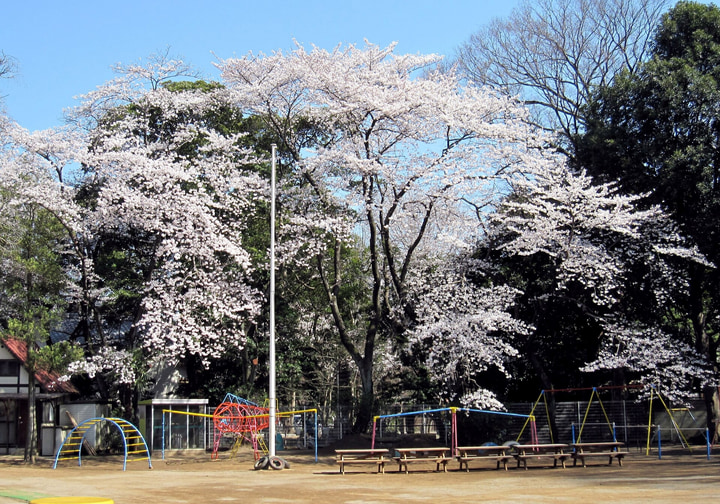 真間山幼稚園