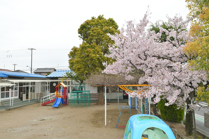 つぼみ幼稚園