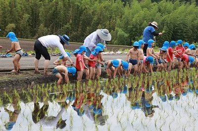 太陽の子幼稚園