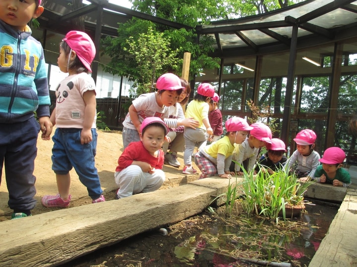 町田自然幼稚園