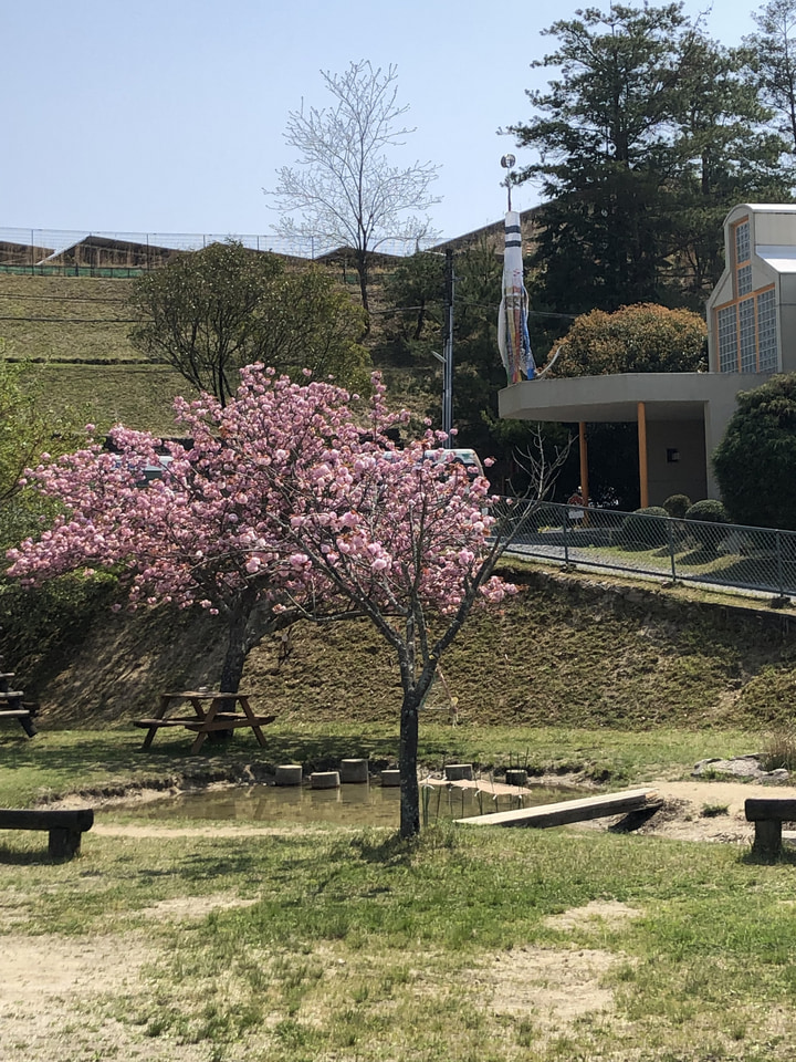 認定こども園青山よさみ幼稚園