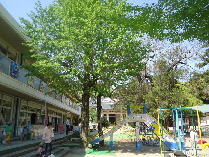 普済寺幼稚園