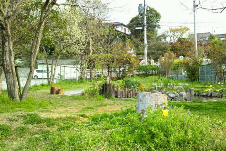 しらぎく幼稚園