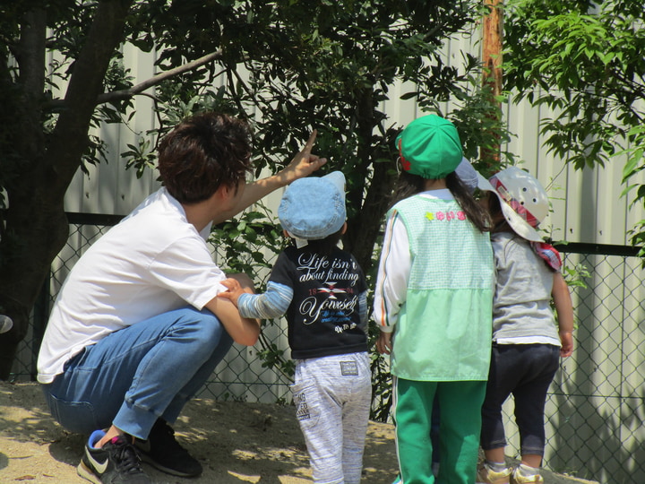 たちばな幼稚園