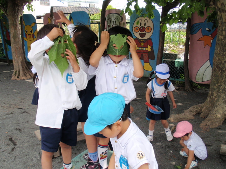 するが幼稚園