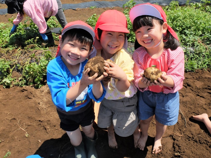 富士見幼稚園