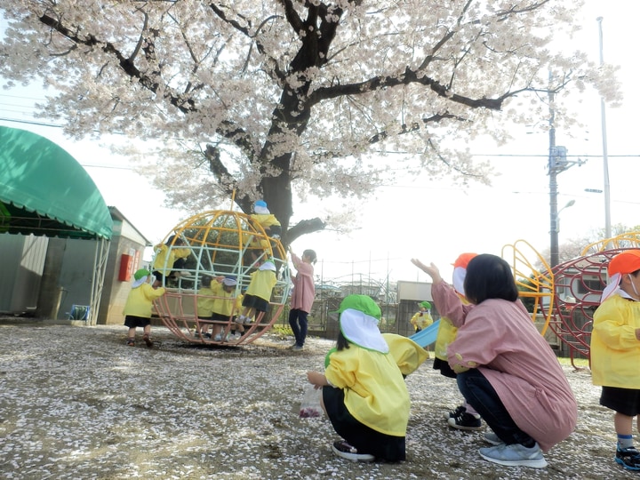 春岡幼稚園