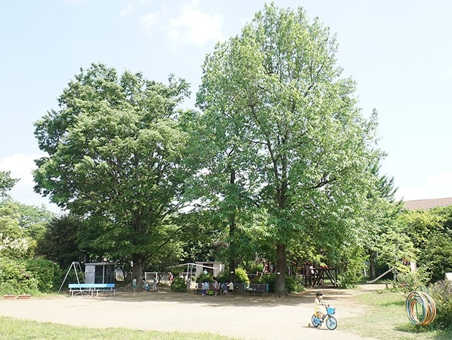 聖学院みどり幼稚園