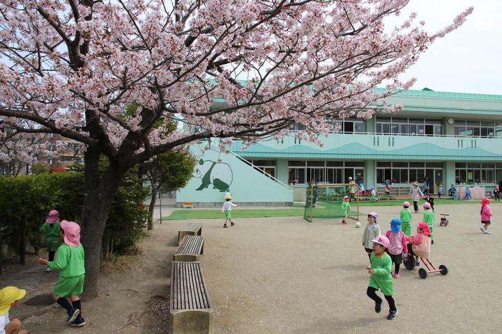 あけぼの幼稚園