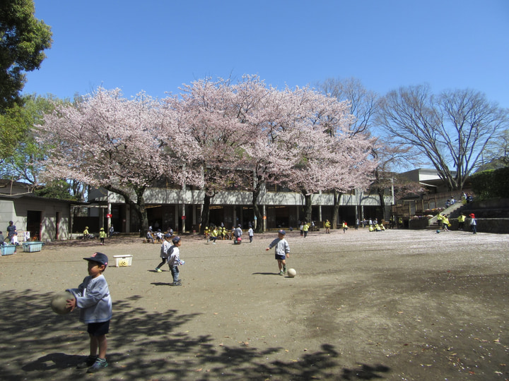 まこと幼稚園