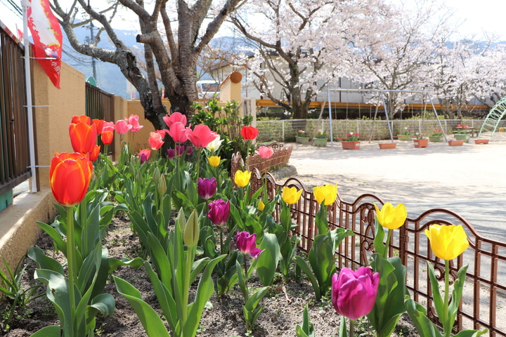 認定こども園　菅内幼稚園