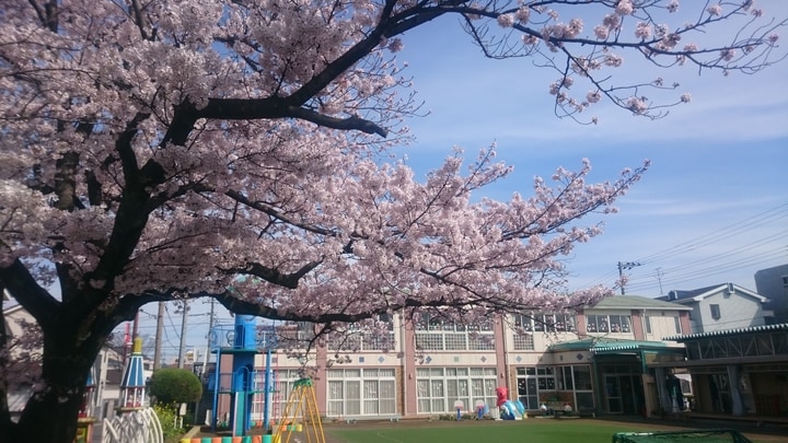 九重幼稚園