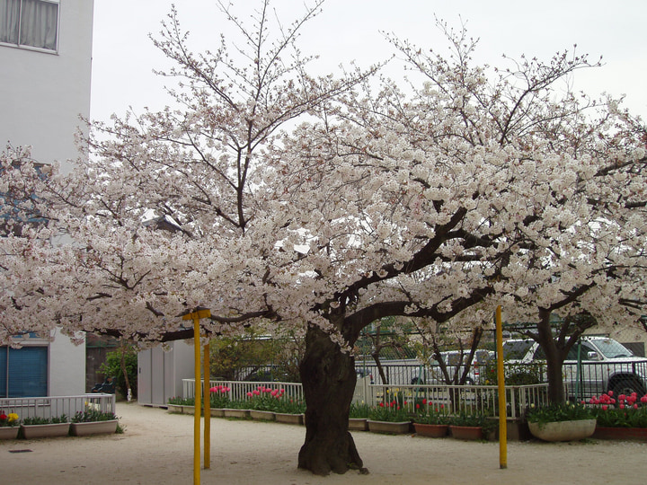 上野幼稚園