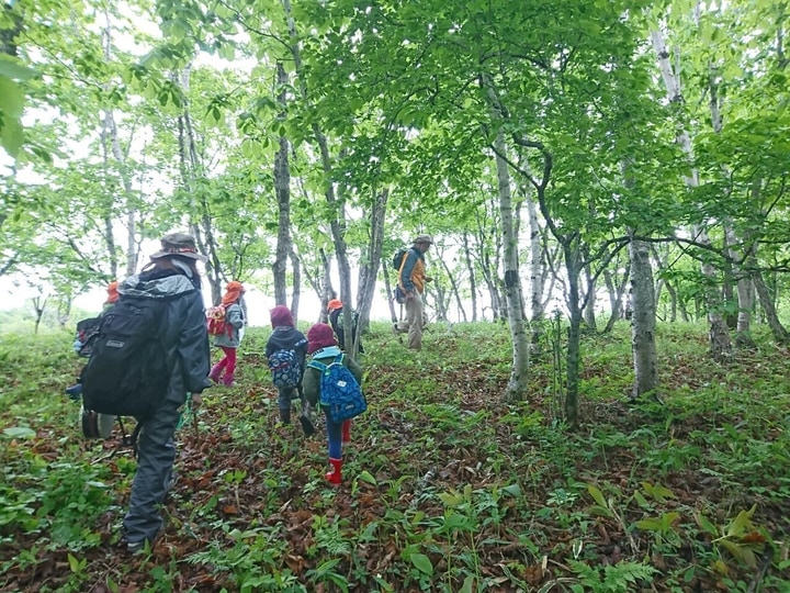 釧路白樺幼稚園