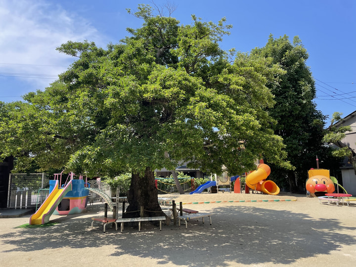 マハヤナ幼稚園