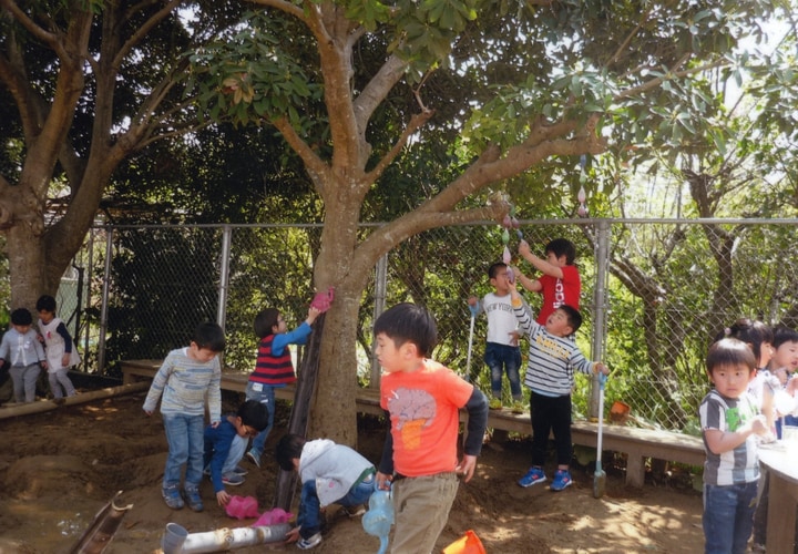 認定こども園鹿島幼稚園