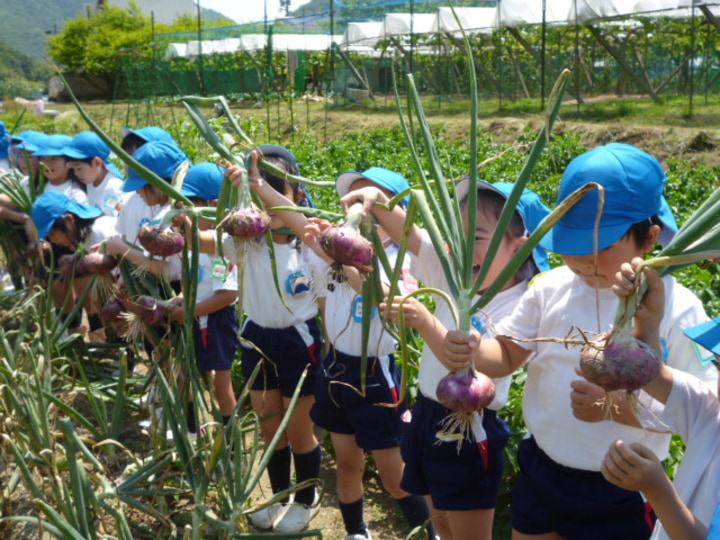 内山下幼稚園