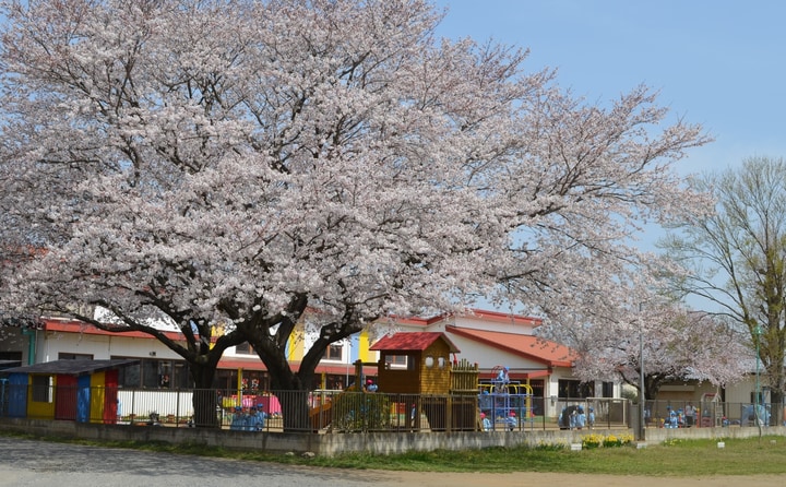 認定こども園八千代中央幼稚園