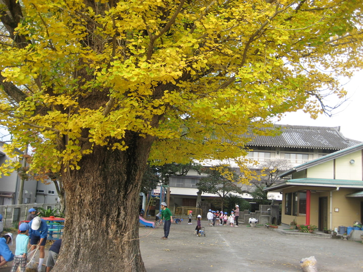 認定こども園　小林昭和幼稚園