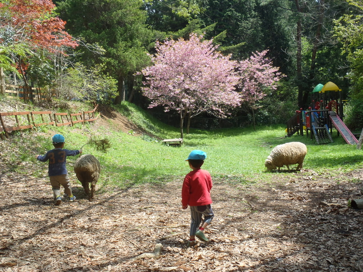 認定向山こども園