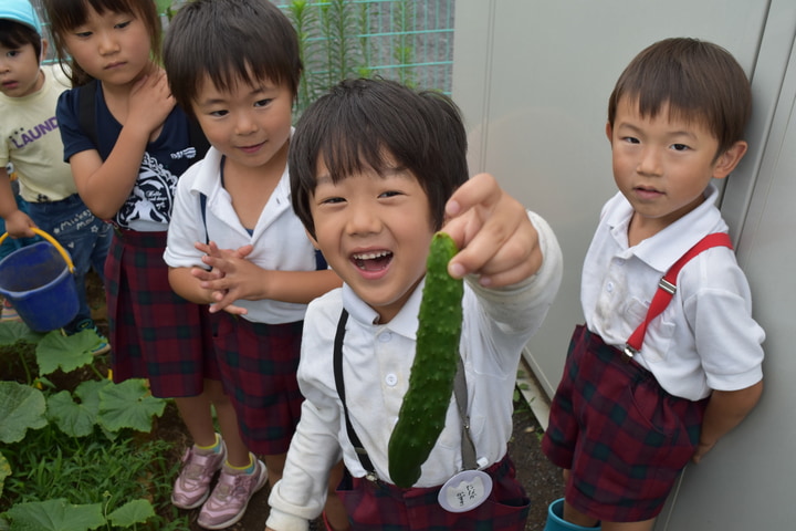 認定こども園南畑幼稚園なんばた保育園