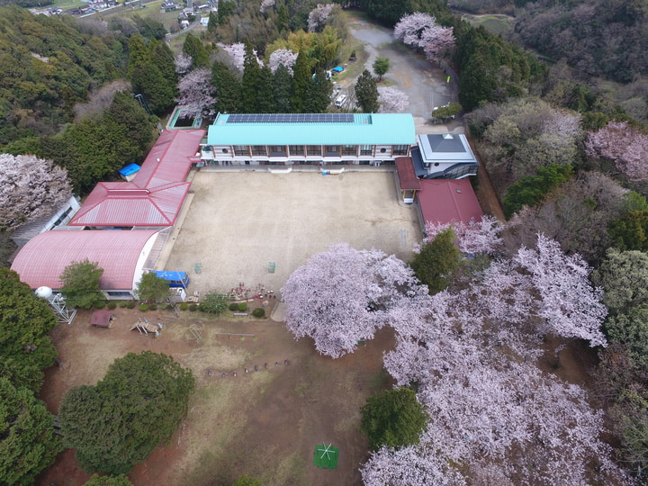 やまばと幼稚園