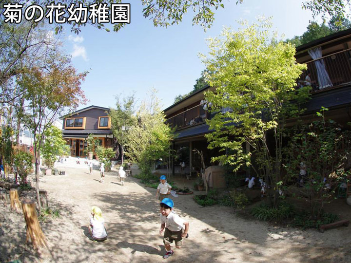 菊の花幼稚園