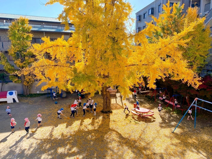 赤橋幼稚園