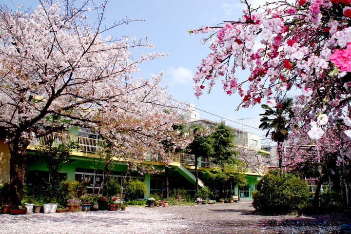 城北幼稚園