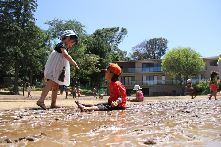 まつがさきの森幼稚園