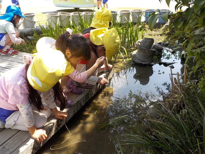 緑ヶ丘幼稚園