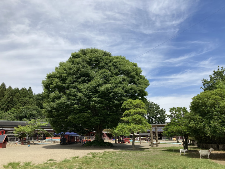 認定こども園あかみ幼稚園