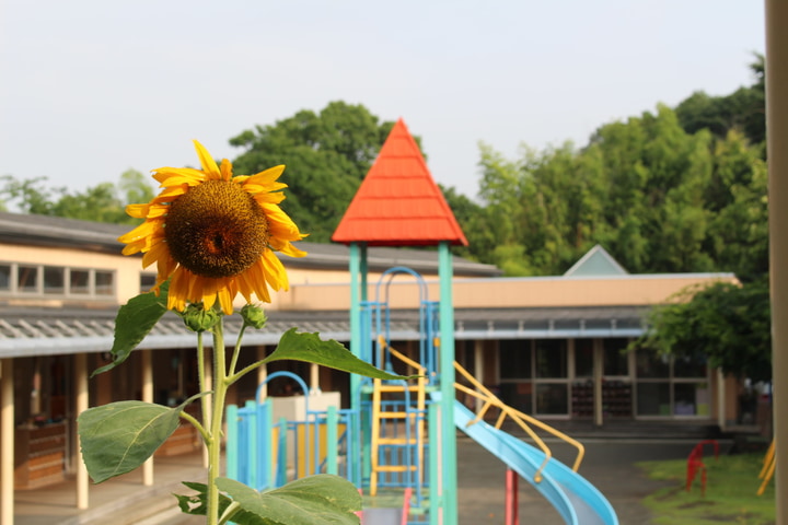 上川井幼稚園