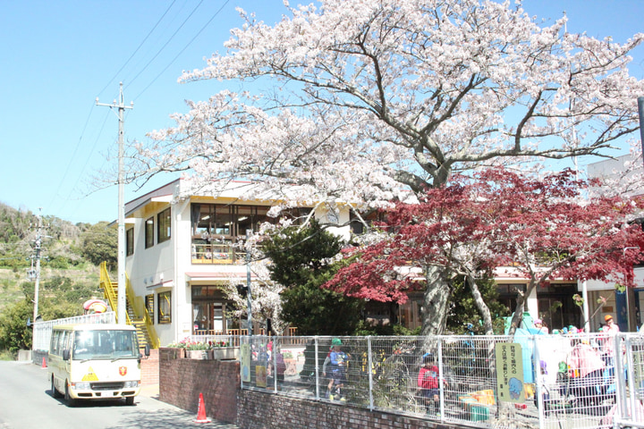 幼保連携型認定こども園 若杉幼稚園