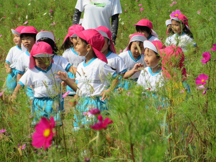 認定こども園暁幼稚園