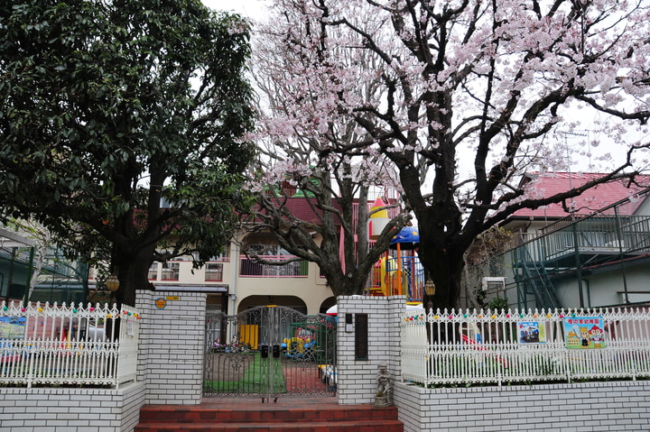 樫の実幼稚園