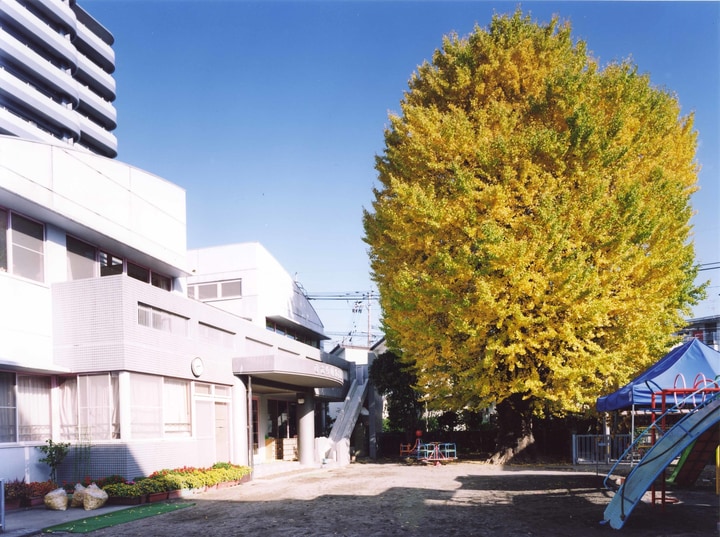 ひかり幼稚園