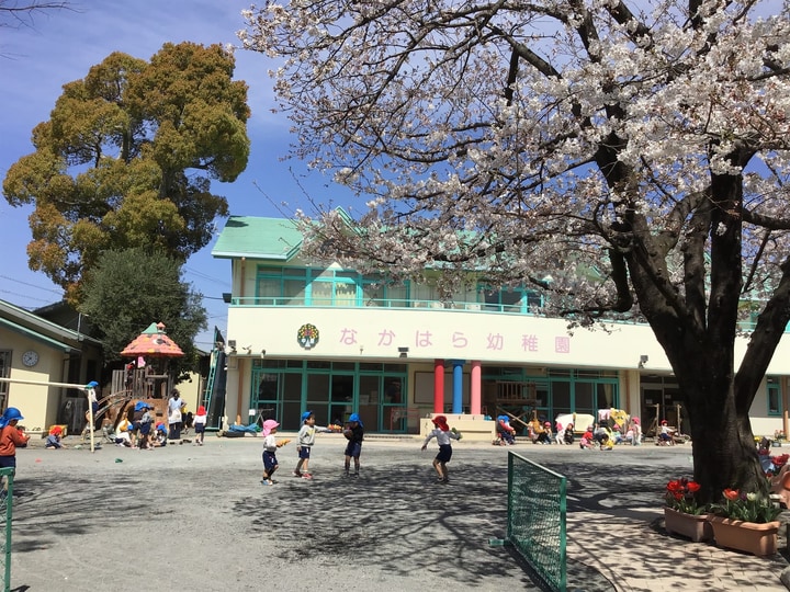 幼保連携型認定こども園静岡なかはら幼稚園