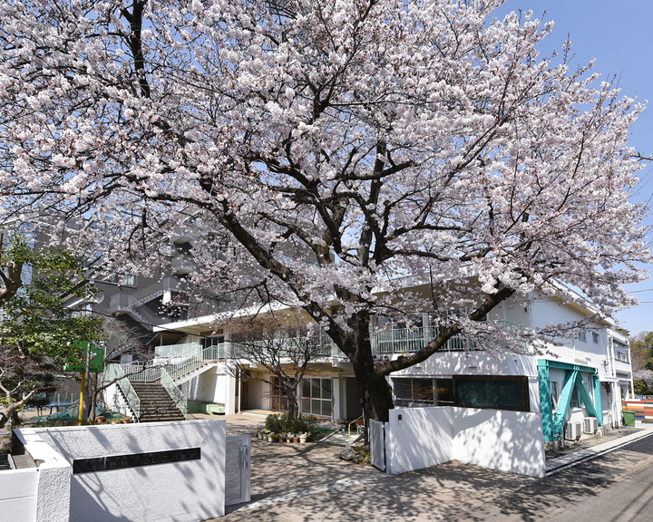 豊島なでしこ幼稚園