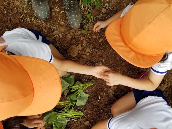 認定こども園白梅幼稚園