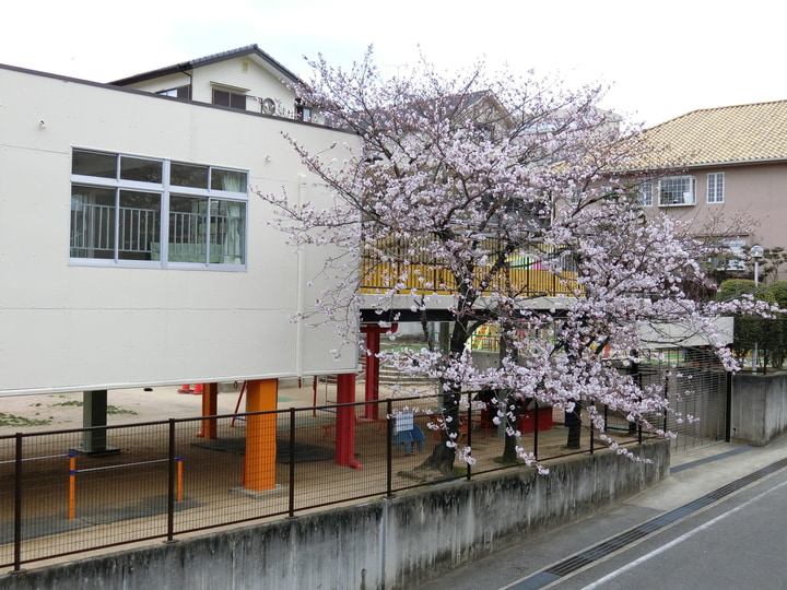 野上幼稚園