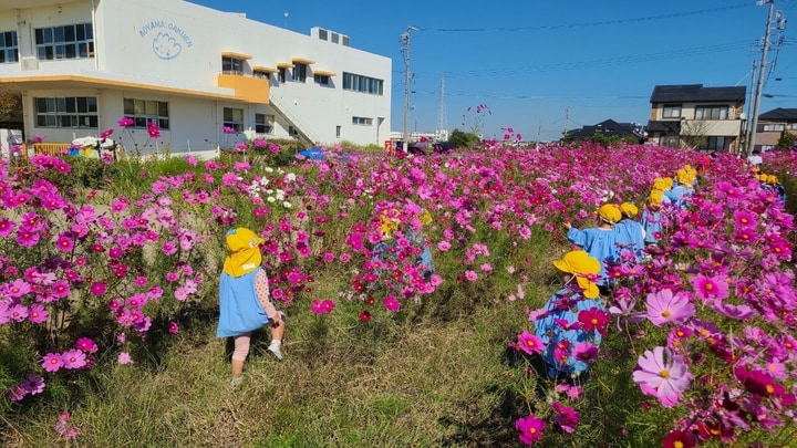 むつみみやこ幼稚園