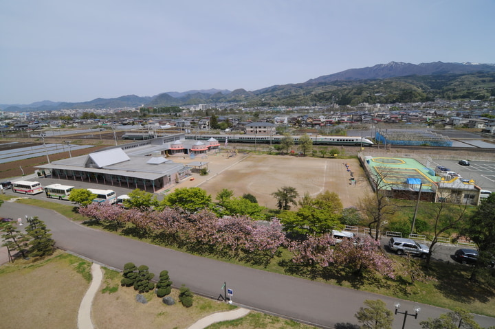 東北文教大学付属幼稚園