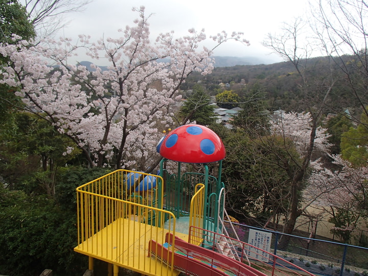 雲雀丘学園中山台幼稚園