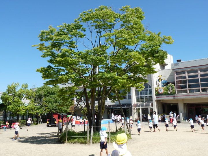 こばと第三幼稚園