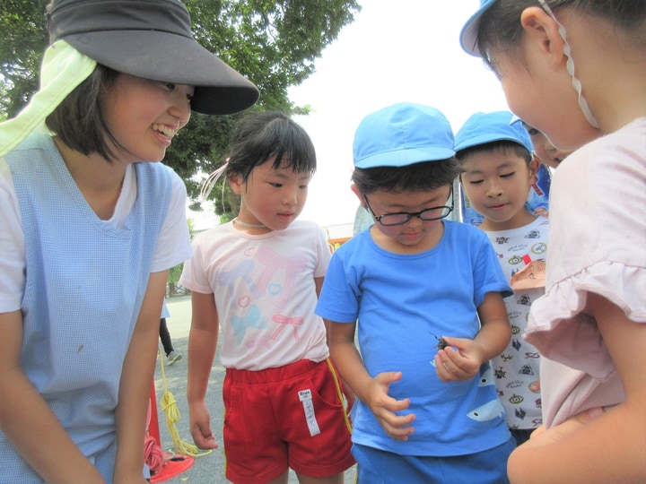 まふみ幼稚園