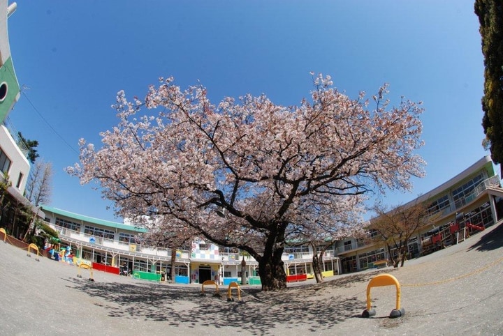 宮崎二葉幼稚園