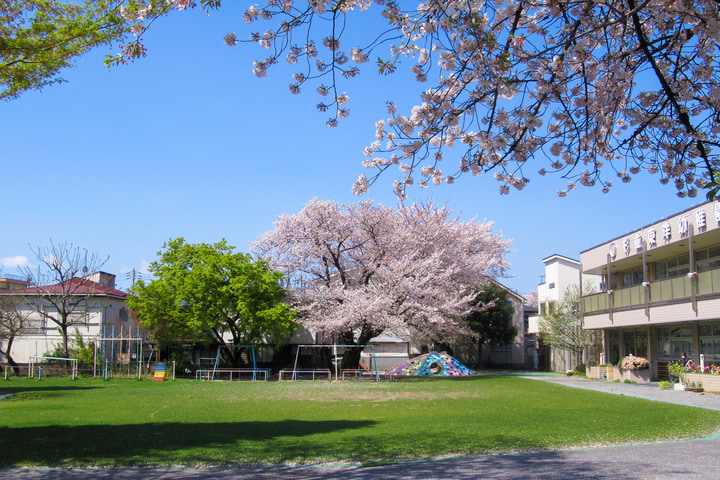 杉並東洋幼稚園