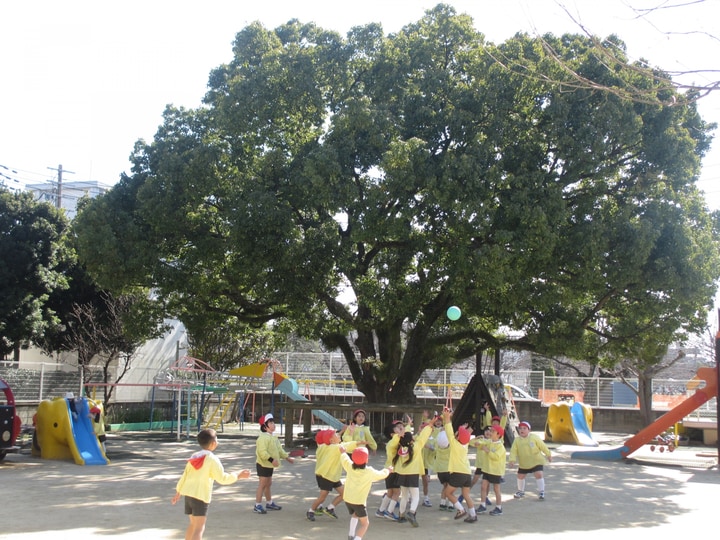 山王幼稚園